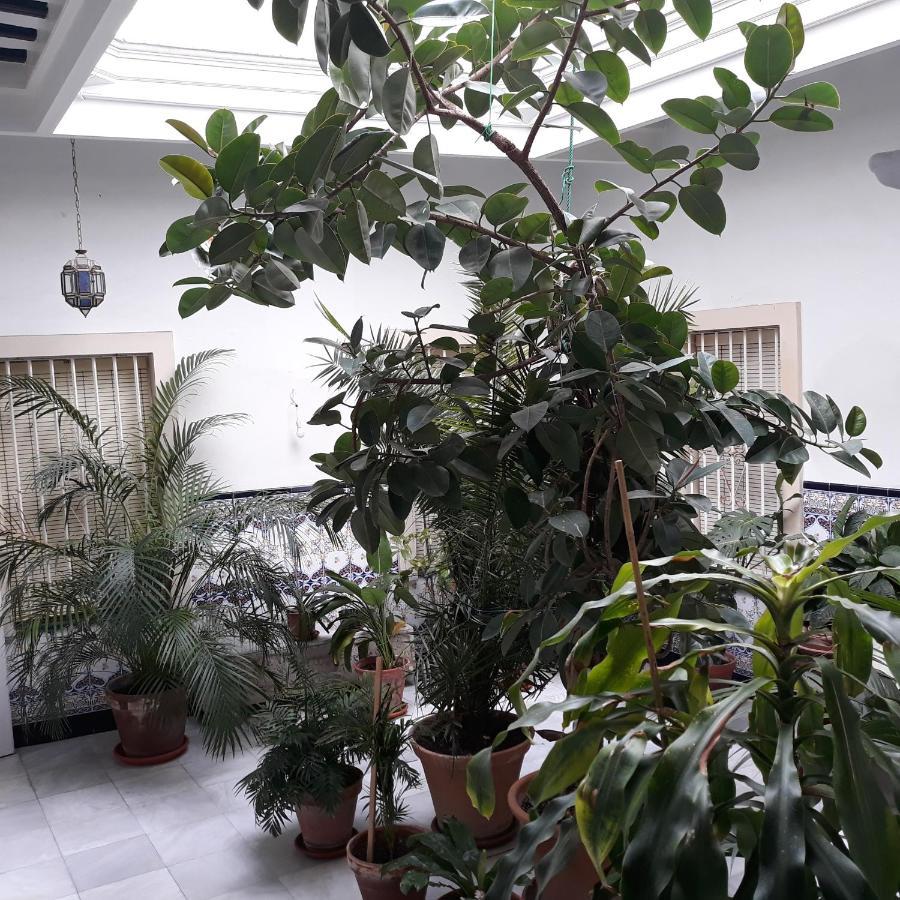 Apartamento Atico Soleado Cádiz Exterior foto