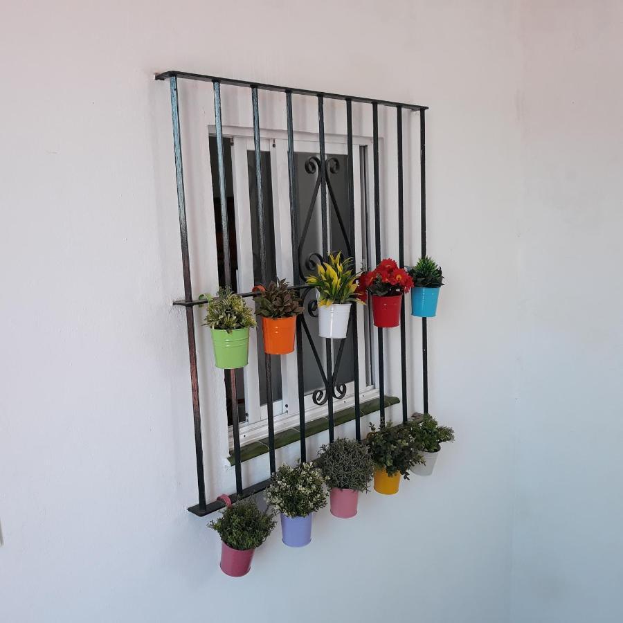 Apartamento Atico Soleado Cádiz Exterior foto