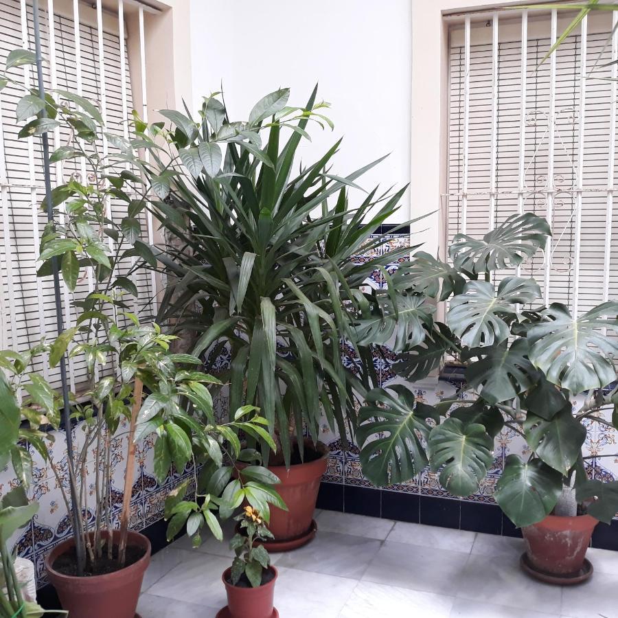 Apartamento Atico Soleado Cádiz Exterior foto