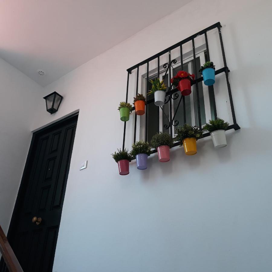 Apartamento Atico Soleado Cádiz Exterior foto