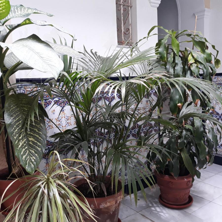 Apartamento Atico Soleado Cádiz Exterior foto